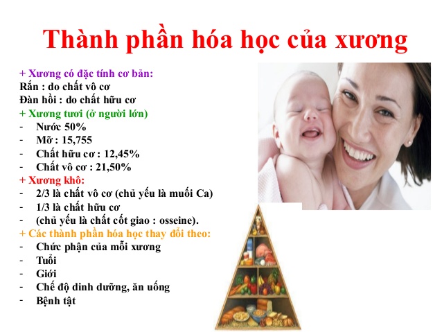 Ý nghĩa của thành phần hóa học của xương đối với chức năng của xương
