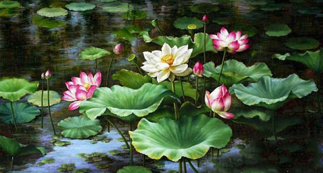 Các bức tranh vẽ hoa sen đẹp