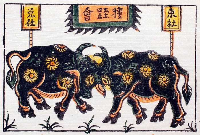 Em hãy tìm hiểu về một truyền thống của quê hương và viết bài giới thiệu