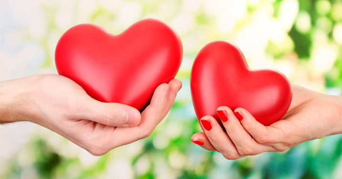 Nội dung trọng tâm của từng phần đã được đánh số trong văn bản Yêu và đồng cảm