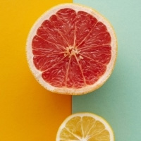 Các thành phần không bắt buộc cấu tạo nên tế bào nhân sơ là?