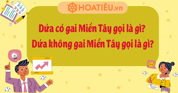 Cách sử dụng và chế biến dứa