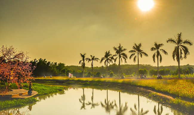 Soạn Viết văn bản nghị luận phân tích, đánh giá một tác phẩm thơ 