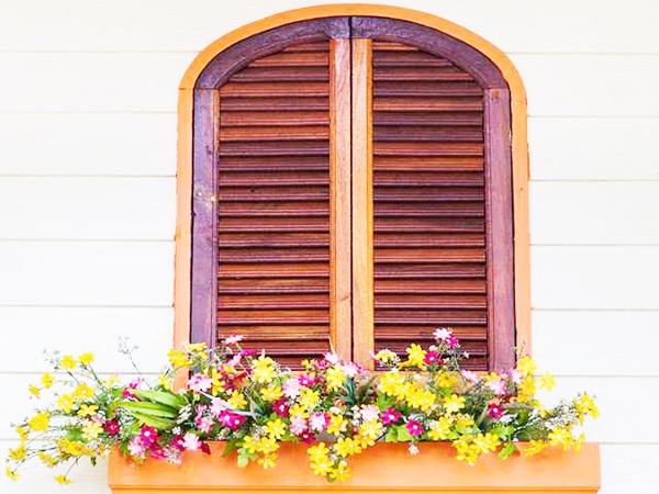 Soạn bài Vừa nhắm mắt vừa mở cửa sổ Kết nối tri thức