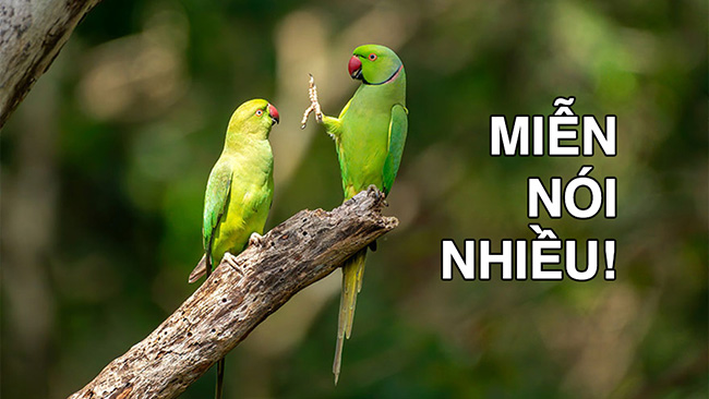 Nghị luận để thuyết phục một người cần nhìn nhận vấn đề toàn diện hơn