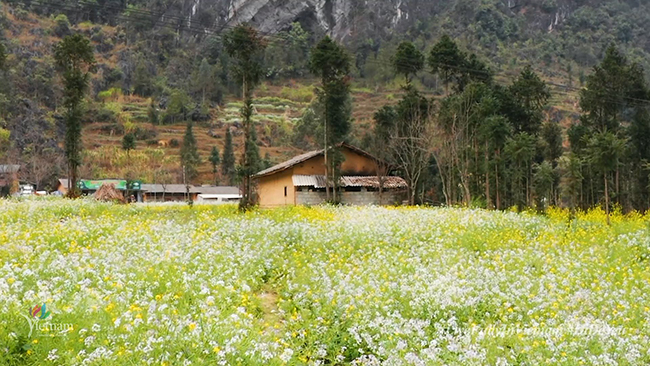 Hình ảnh người cầm súng, người ra đồng gợi cho em nghĩ đến ai?