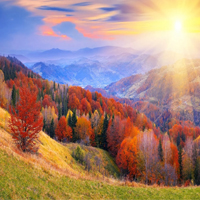 Biểu hiện của thiên nhiên nhiệt đới ẩm gió mùa nước ta qua các thành phần địa hình, sông ngòi, đất, sinh vật