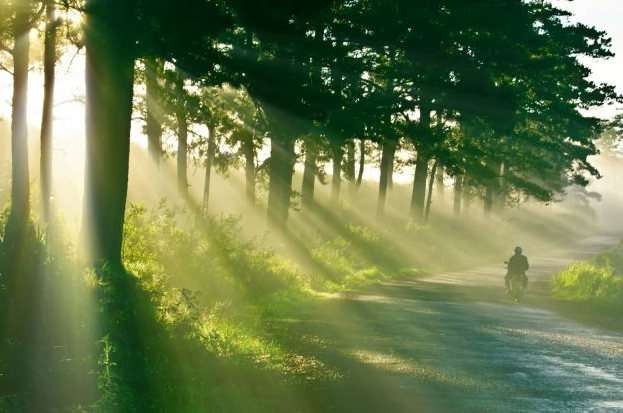 Soạn Văn 10 tập 1 trang 72 SGK Chân trời sáng tạo