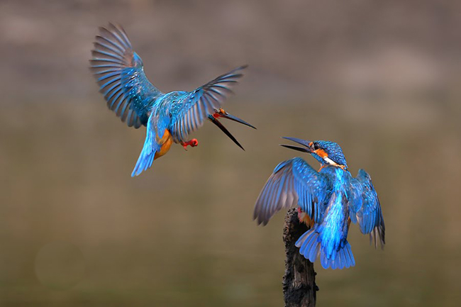 Đoạn văn về niềm giao cảm với thiên nhiên và con người