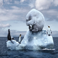 Nêu đặc điểm tự nhiên của châu Nam Cực?