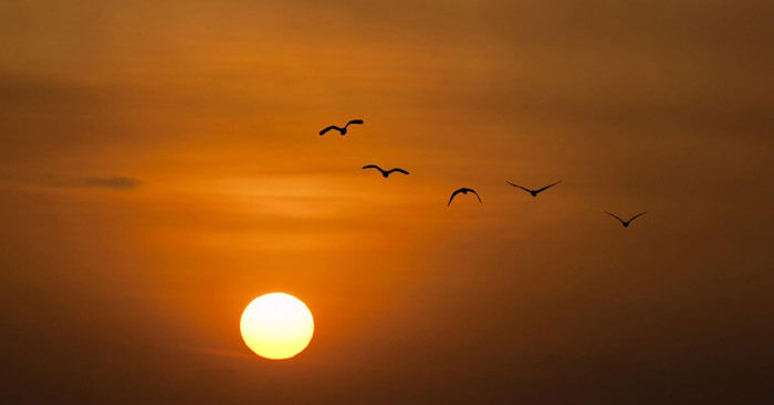 nghị luận phân tích đánh giá nét đặc sắc về nghệ thuật của một bài thơ