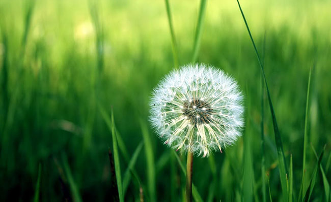 Kể về một việc tốt em đã làm 