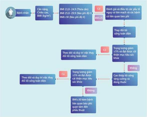Hướng dẫn chẩn đoán và điều trị bệnh béo phì