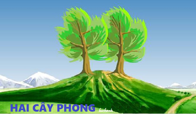 Soạn Thực hành tiếng Việt lớp 7 trang 72 