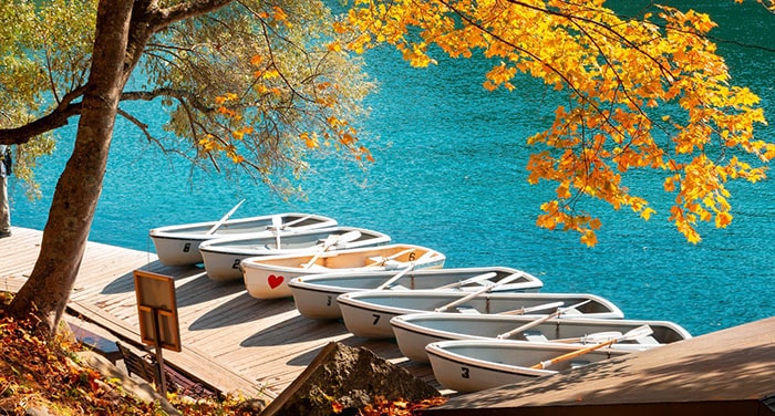 Phân tích 6 câu đầu bài thơ Câu cá mùa thu