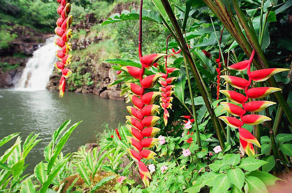 cảm nhận Việt Bắc