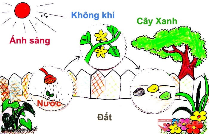 Tranh luận của Đất, Nước, Không khí, Ánh sáng