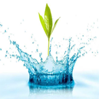 Tại sao bảo vệ nguồn nước ngọt là yêu cầu cấp bách của tất cả các quốc gia trên thế giới hiện nay?