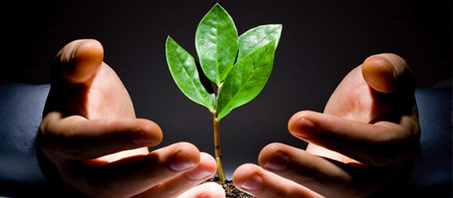 Trình bày ý kiến về những hoạt động thiện nguyện vì cộng đồng