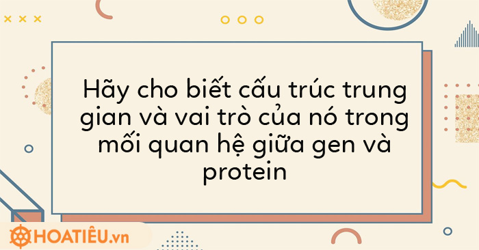 Cấu trúc trung gian và vai trò của nó trong mối quan hệ giữa gen và protein