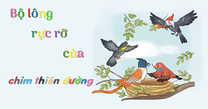 Câu chuyện Bộ lông rực rỡ của chim thiên đường