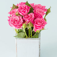 Phiếu chấm thi cắm hoa 20/11 