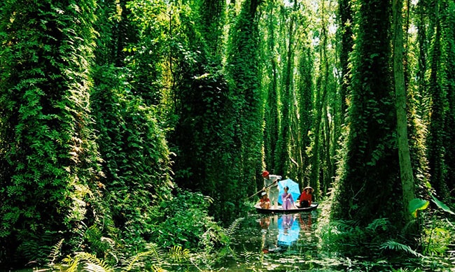  phân tích đặc điểm nhân vật An trong Đi lấy mật