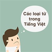 Từ Tôi trong câu tôi yêu đất nước Việt Nam thuộc từ loại gì?