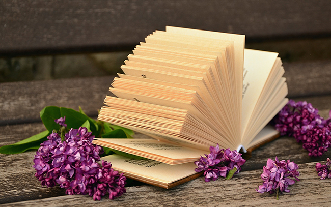 Đoạn văn nêu cảm nhân về một nhân vật văn học mà em yêu thích