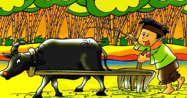 Trâu ơi ta bảo trâu này