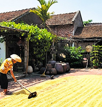 Soạn bài Mùa phơi sân trước lớp 7 siêu ngắn