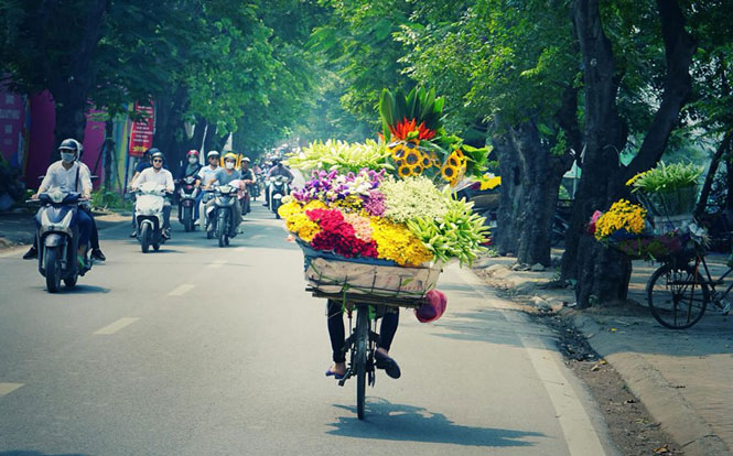 Đây mùa thu tới phân tích