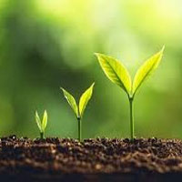 Ví dụ cụ thể về tác động của con người đến sự hình thành và biến đổi đất ở địa phương em