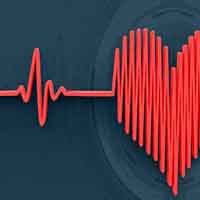 Ở người trưởng thành nhịp tim thường vào khoảng