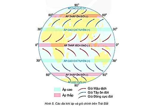 Tại sao các loại gió thường xuyên trên Trái Đất không thổi theo chiều Bắc Nam?