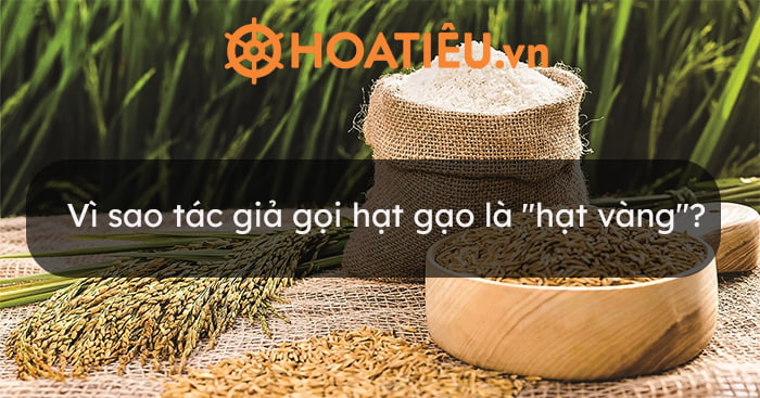 Vai trò của người lao động trong bài thơ