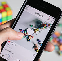 November dump là gì?