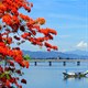 Cảm nhận sông Hương ở ngoại vi thành phố