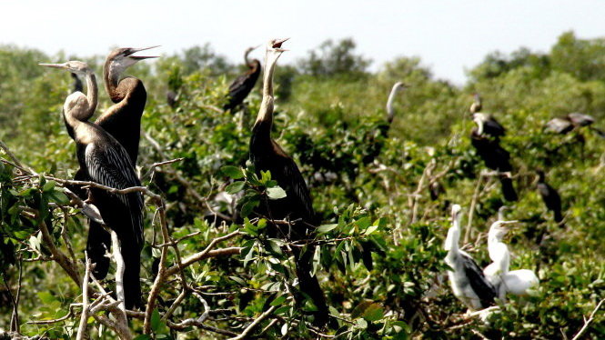 Soạn văn 7 tập 1 KNTT trang 131