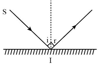Đề thi Khoa học tự nhiên lớp 7 học kì 1 CTST