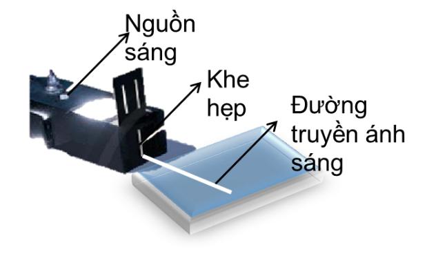 Câu hỏi trắc nghiệm Khoa học tự nhiên 7