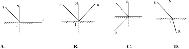 Câu hỏi trắc nghiệm Khoa học tự nhiên 7