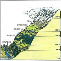 Chọn một thành phần tự nhiên khí hậu hoặc sinh vật để trình bày sự thay đổi theo quy luật đai cao