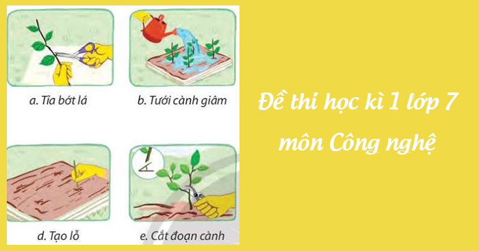 Đề thi Công nghệ lớp 7 học kì 1 năm học 2022 - 2023