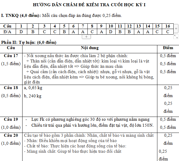 Đề thi môn Khoa học tự nhiên lớp 6 kì 1 Chân trời sáng tạo