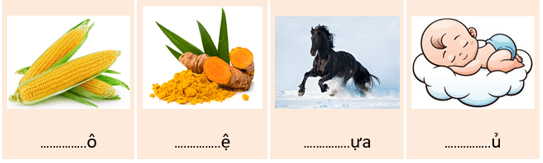 Đề thi học kì 1 môn Tiếng Việt lớp 1 sách Kết nối tri thức với cuộc sống