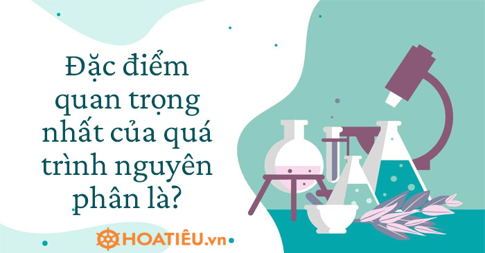 Đặc điểm quan trọng nhất của quá trình nguyên phân là gì?