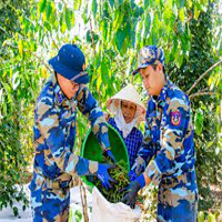 Em hãy nêu vài tấm gương về thanh niên đã phấn đấu vì sự nghiệp xây dựng và bảo vệ tổ quốc trước đây cũng như hiện nay?