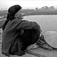 Đọc hiểu Một bữa no