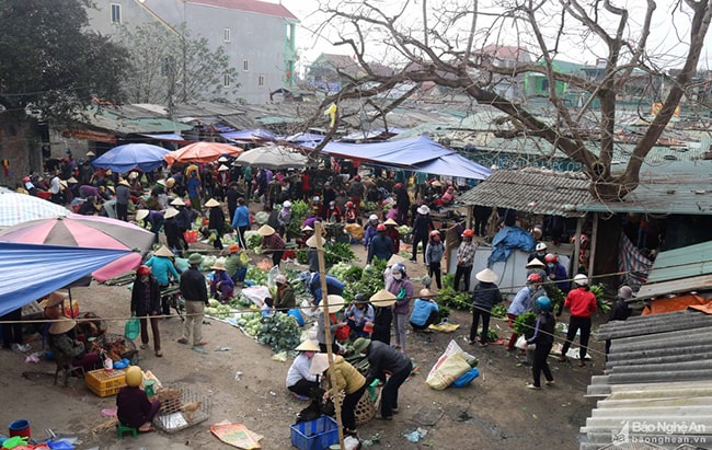 Đọc hiểu Một bữa no